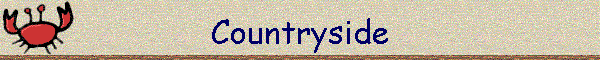 Countryside